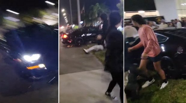 mustang publika.jpg, 43 KB