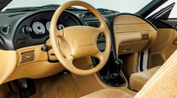 mustang svt 111.jpg, 65 KB