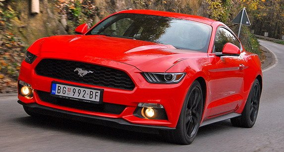 mustang_501.jpg, 73 KB