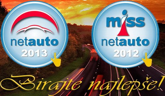 netauto 2013 111.jpg, 69 KB