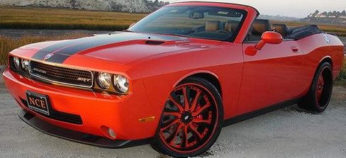 newport dodge challenger cabrio.jpg, 42 KB