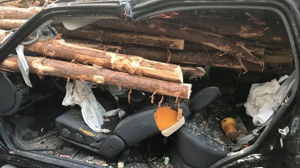 nissan crash 11.jpg, 78 KB