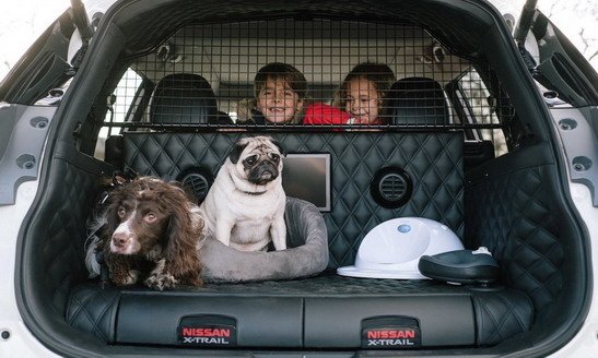 nissan dog 1.jpg, 61 KB