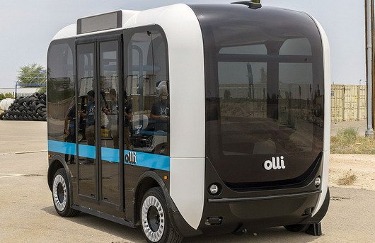 olli 1111.jpg, 56 KB