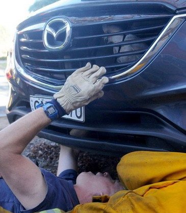 papagaj 1.jpg, 48 KB