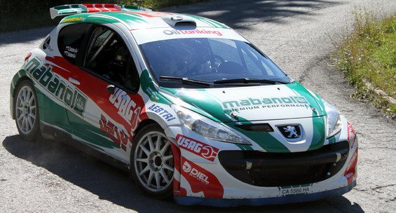 peugeot 207 rally.jpg, 70 KB