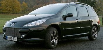peugeot 307 1 rc.jpg, 22 KB