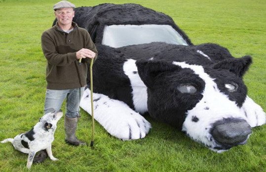 peugeot dog 1.jpg, 65 KB