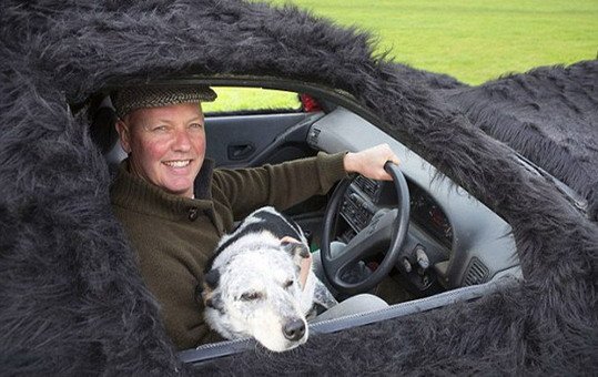 peugeot dog 111.jpg, 64 KB