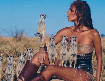 pirelli calandar 1.jpg, 35 KB