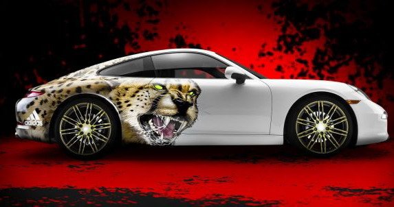 porsche 911 87.jpg, 48 KB