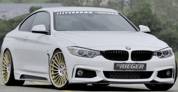 rieger 1111.jpg, 46 KB