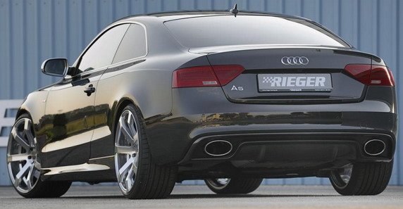 rieger a5 1.jpg, 45 KB
