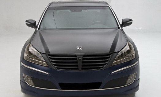 rmr equus 1.jpg, 31 KB