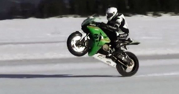 robert-gull.jpg, 39 KB