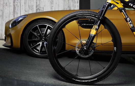 rotwild 11.jpg, 60 KB