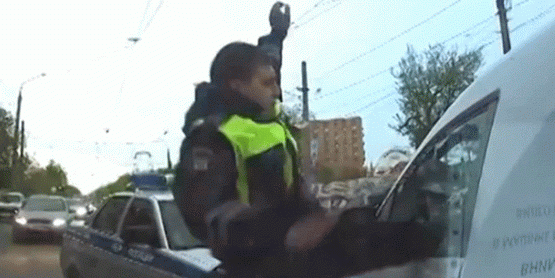 ruski chuck.gif, 81 KB