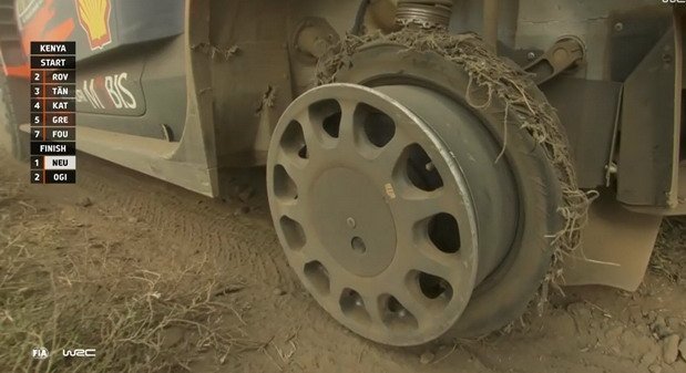 safari neuvilless7.jpg, 53 KB