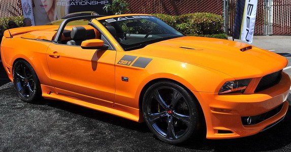 saleen 1.jpg, 74 KB