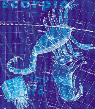scorpio zodiac.jpg, 64 KB