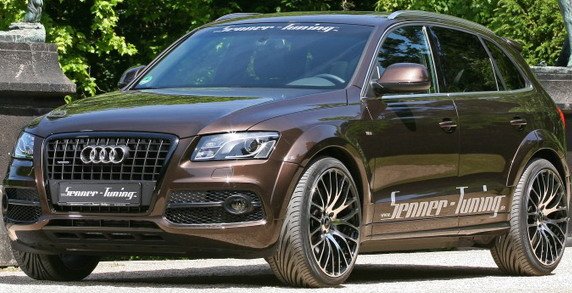 senner q5 11.jpg, 73 KB