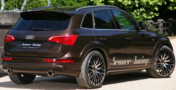 senner q5 1111.jpg, 67 KB