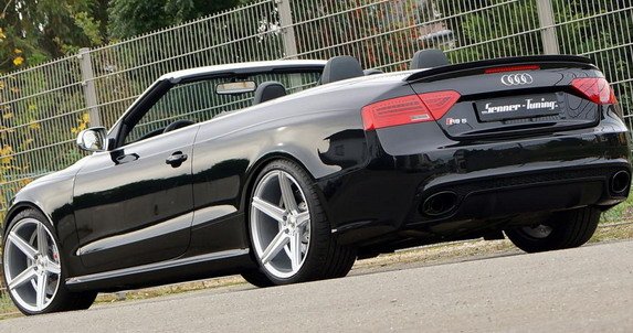 senner rs5 11.jpg, 74 KB