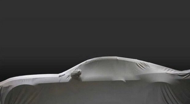 shelby 2022.jpg, 17 KB