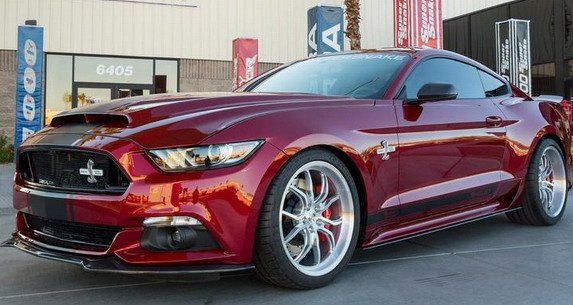 shelby 4.jpg, 63 KB