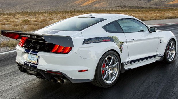 shelby dragon 1.jpg, 79 KB