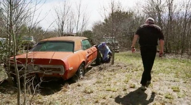 shelby exp 1.jpg, 91 KB