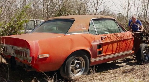 shelby exp 11.jpg, 86 KB