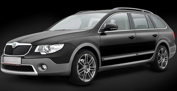 skoda cross 1.jpg, 37 KB