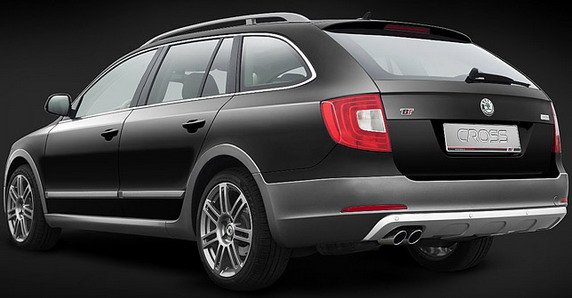 skoda cross 11.jpg, 41 KB