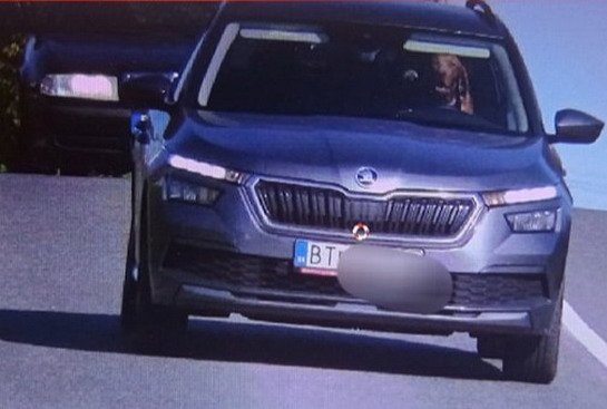skoda pas.jpg, 46 KB