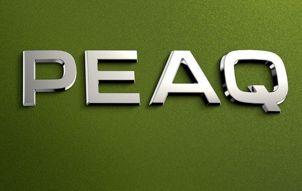 skoda peaq 1.jpg, 66 KB