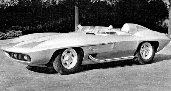 sting ray.jpg, 70 KB