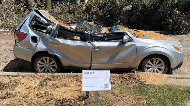 subaru drvo.jpg, 105 KB