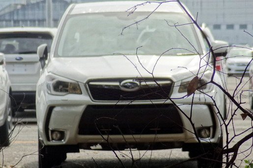 subaru forester 40.jpg, 62 KB