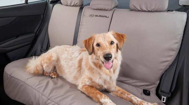 subaru lj 1.jpg, 48 KB