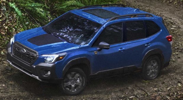 subaru wilderness 11.jpg, 75 KB
