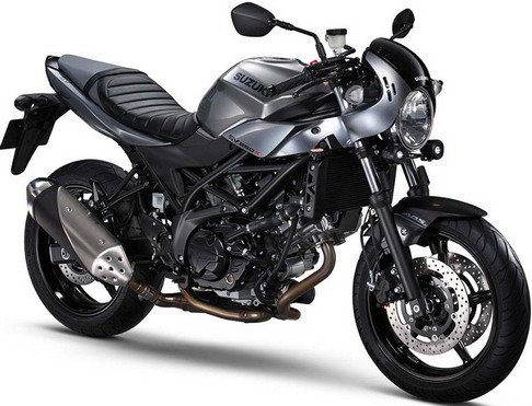 suzuki sv 1.jpg, 57 KB