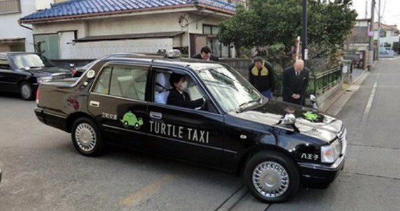 taksisti-voze-kao-kornjace.jpg, 55 KB