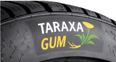 taraxa.jpg, 32 KB