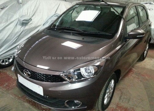 tata zica 1.jpg, 63 KB