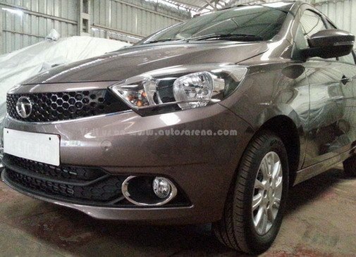 tata zica 111.jpg, 64 KB