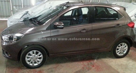 tata zica 1111.jpg, 57 KB
