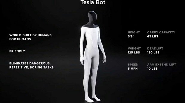 tesla bot.jpg, 29 KB