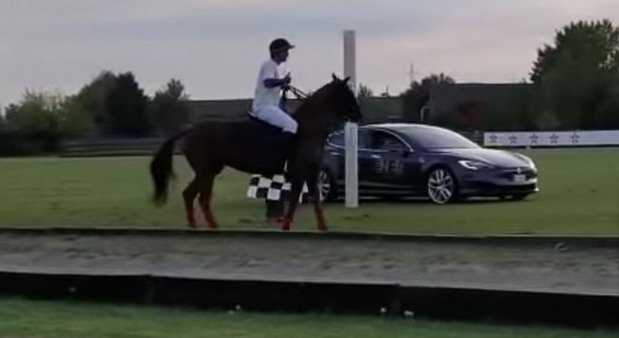 tesla konj.jpg, 33 KB