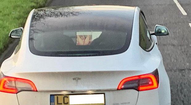 tesla porno.jpg, 52 KB